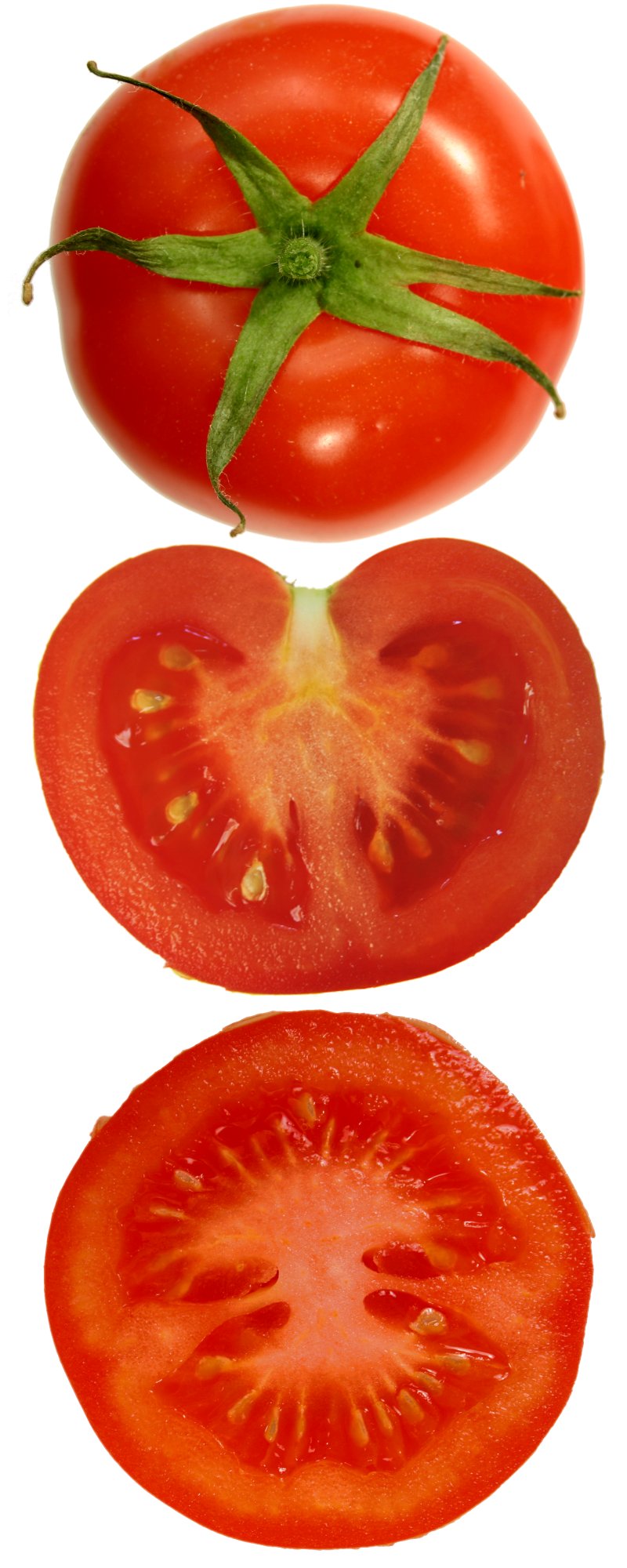 Tomate osoa eta erdibitua.